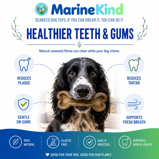 Best Eco-Friendly Dog Toys UK: A Guide for Conscious Pet Owners Marine Kind - Seaweed Dog Toys