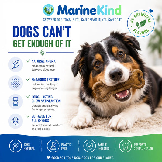 Best Eco-Friendly Dog Toys UK: A Guide for Conscious Pet Owners Marine Kind - Seaweed Dog Toys