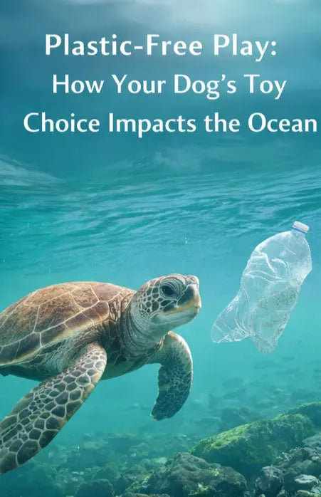 Plastic-Free Play: How Your Dog’s Toy Choice Impacts the Ocean Marine Kind - Seaweed Dog Toys