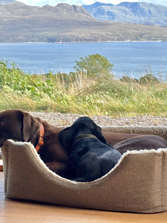 Our Goal Is Simple