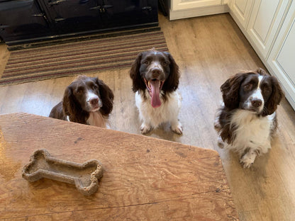 Seaweed Dog Toy Bone - 100% Natural & Sustainable, 1 Unit.