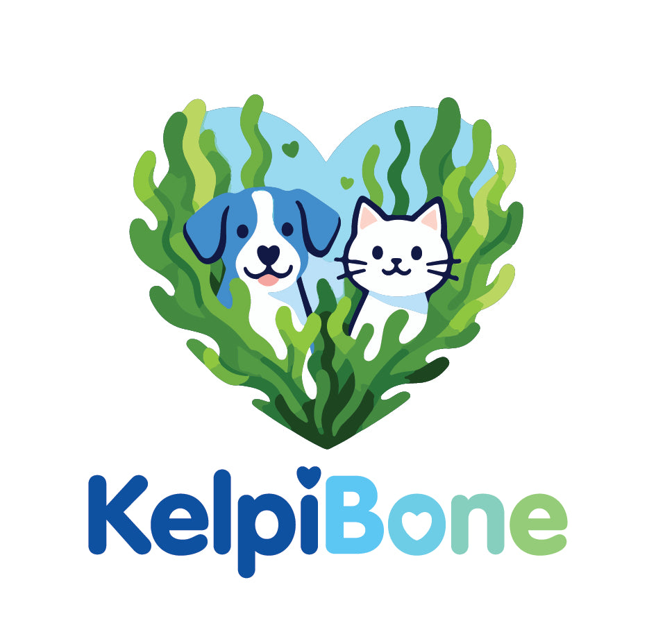 3 Pack Bundle (Best Value) - Marine Kind Seaweed Dog Chew Toy Bones Marine Kind
