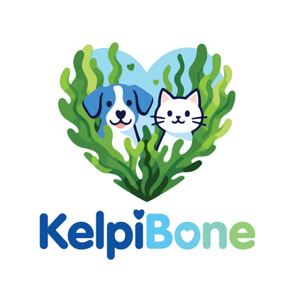 3 Pack Bundle (Best Value) - Marine Kind Seaweed Dog Chew Toy Bones Marine Kind