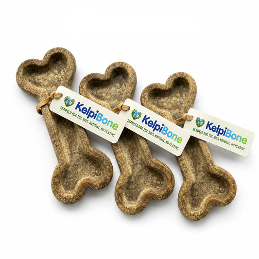 3 Pack Bundle (Best Value) - Marine Kind Seaweed Dog Chew Toy Bones