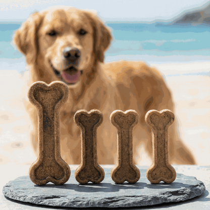 Kelpi Bone · Natural Seaweed Dog Chew Toy · 1 Unit
