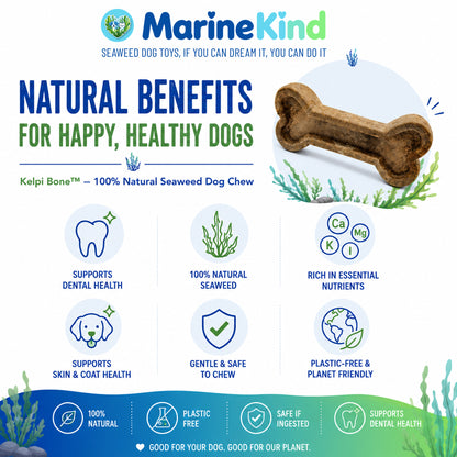Trade Order - 1 box of 20 Units - Seaweed Dog Toy Bones. 100% Natural & Sustainable Marine Kind - Seaweed Dog Toys