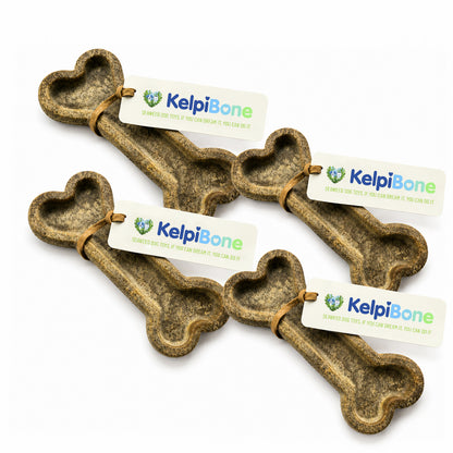 4 Pack Bundle (Best Value) – Marine Kind Seaweed Dog Chew Toy Bones