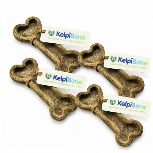4 Pack Bundle (Best Value) – Marine Kind Seaweed Dog Chew Toy Bones