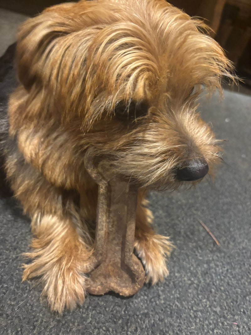 Helena, Cheltenham, UK.