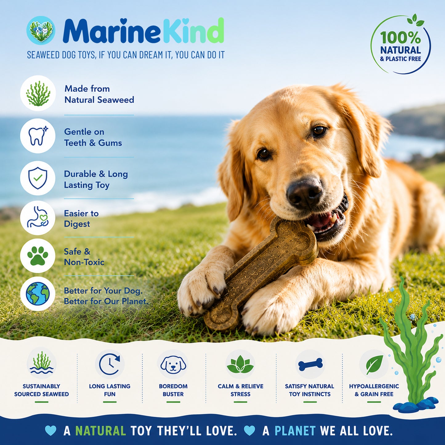 Trade Order - 1 box of 20 Units - Seaweed Dog Toy Bones. 100% Natural & Sustainable Marine Kind - Seaweed Dog Toys