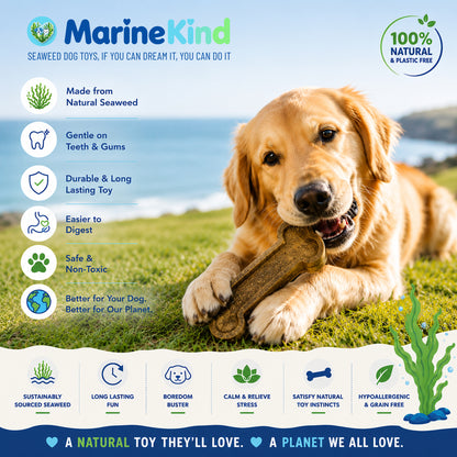 Trade Order - 1 box of 20 Units - Seaweed Dog Toy Bones. 100% Natural & Sustainable Marine Kind - Seaweed Dog Toys