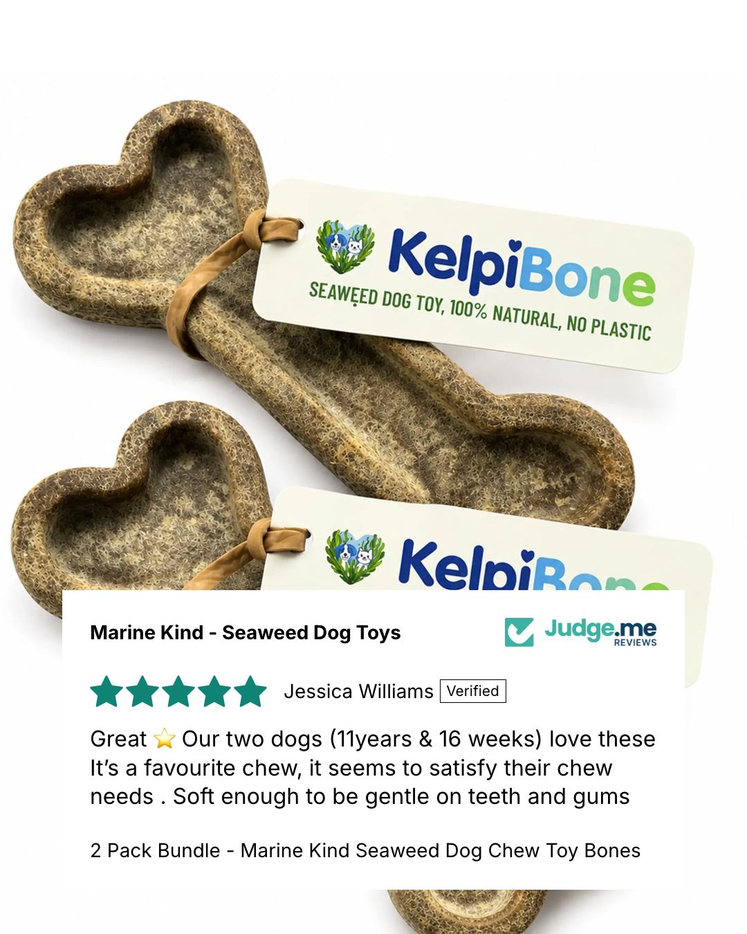 2 Pack Bundle - Marine Kind Seaweed Dog Chew Toy Bones Marine Kind
